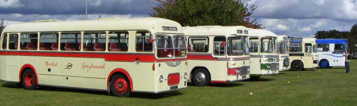 Bristol MW coaches at Showbus 2011